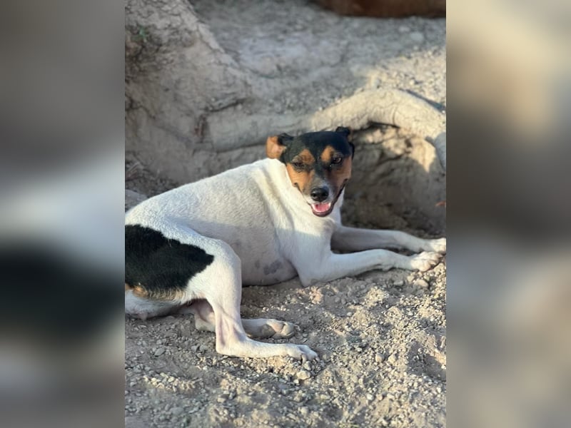 Pong, zurückhaltend aber sehr freundlich