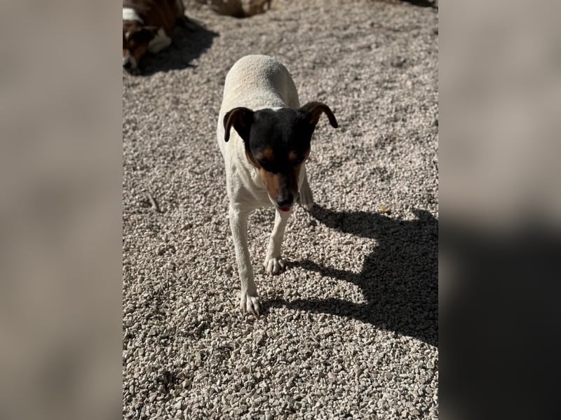 Pong, zurückhaltend aber sehr freundlich