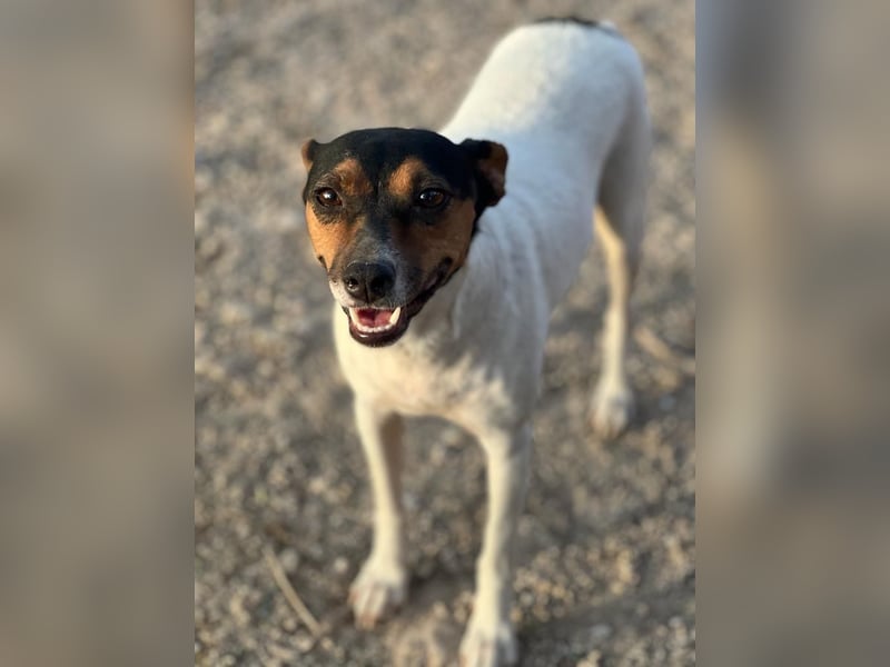 Pong, zurückhaltend aber sehr freundlich