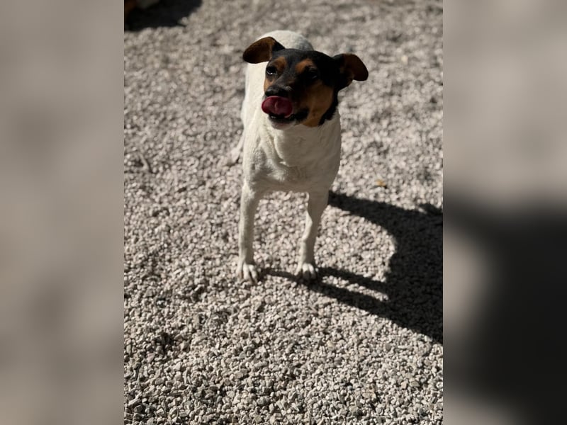 Pong, zurückhaltend aber sehr freundlich