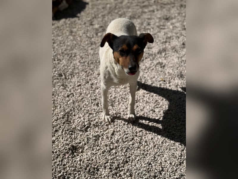 Pong, zurückhaltend aber sehr freundlich