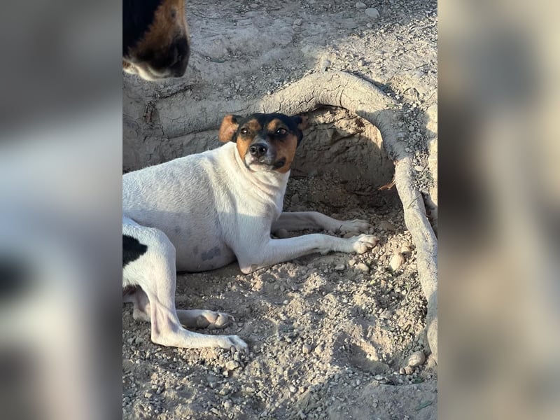 Pong, zurückhaltend aber sehr freundlich