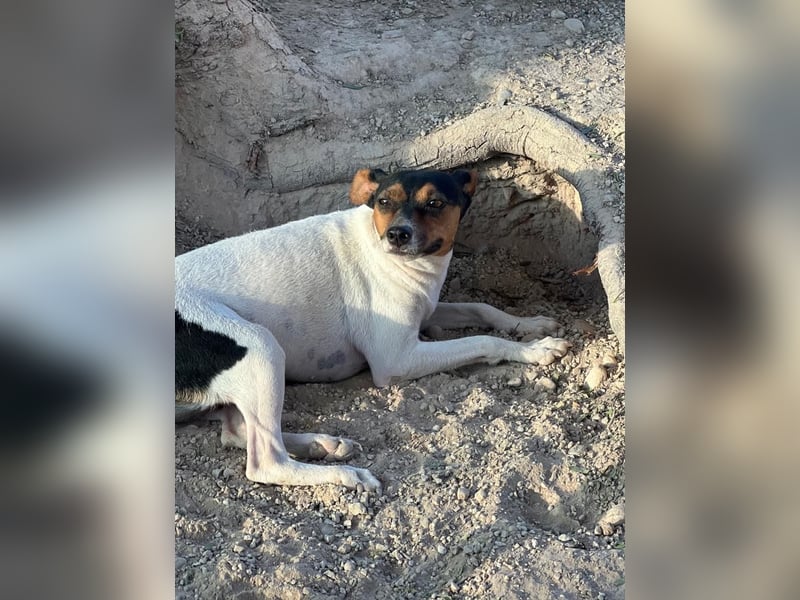 Pong, zurückhaltend aber sehr freundlich