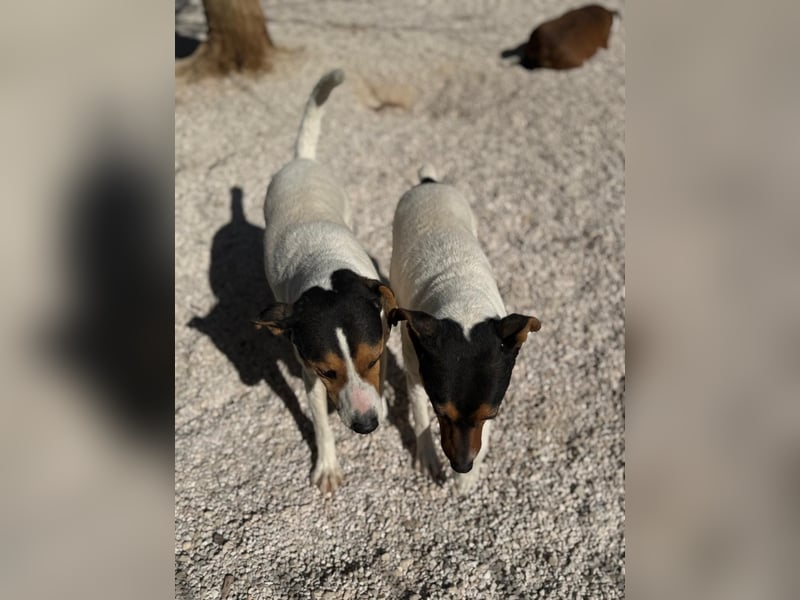 Pong, zurückhaltend aber sehr freundlich