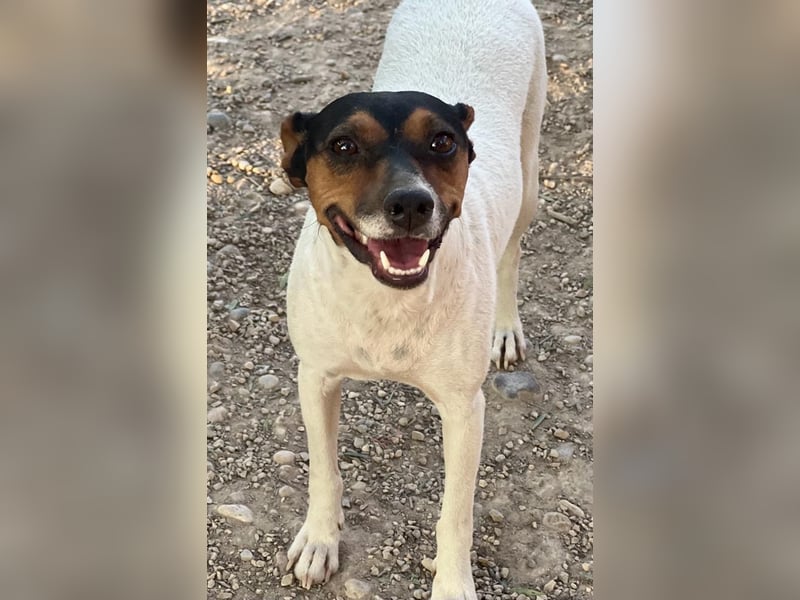 Pong, zurückhaltend aber sehr freundlich