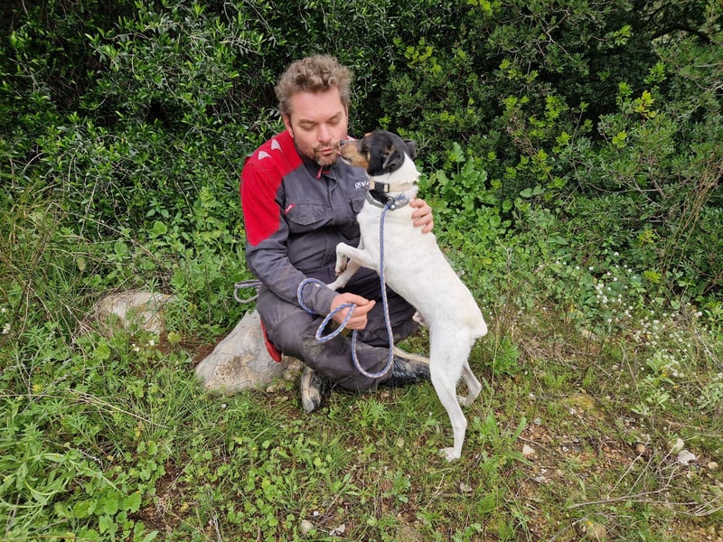 MERAN wünscht sich ganz viel Liebe