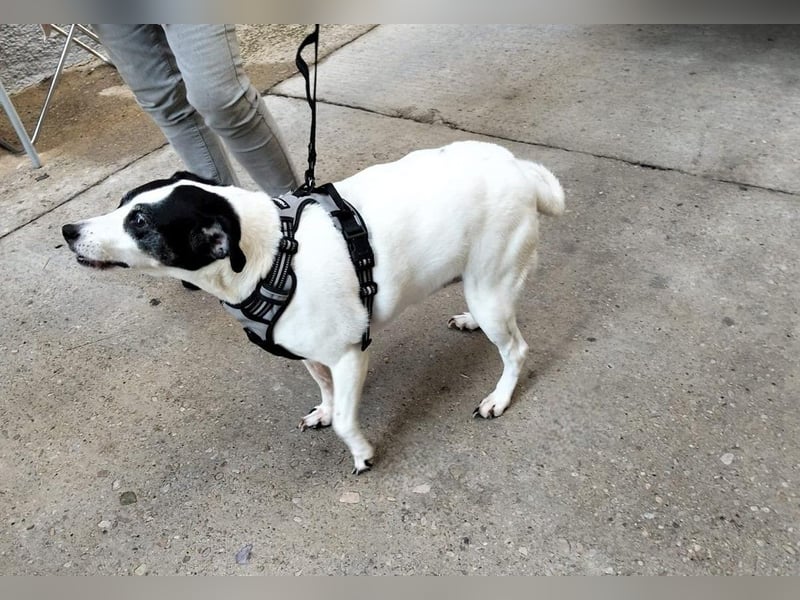 FIORELLA - SOS kleine Seniorin