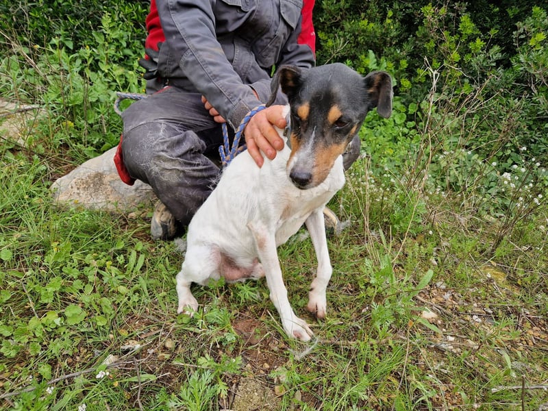 MERAN wünscht sich ganz viel Liebe