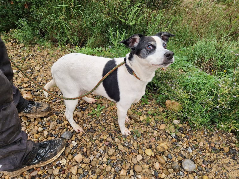 NOTFALL FIORELLA sucht Alterswohnsitz