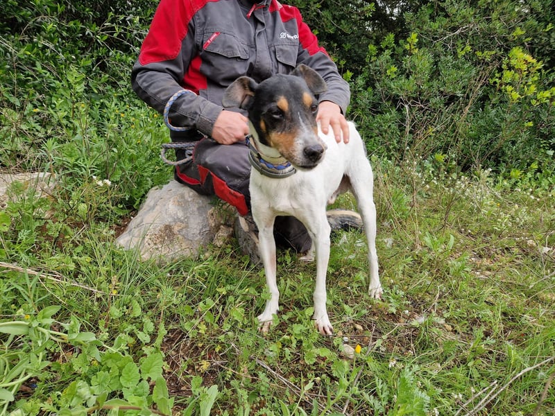 MERAN wünscht sich ganz viel Liebe