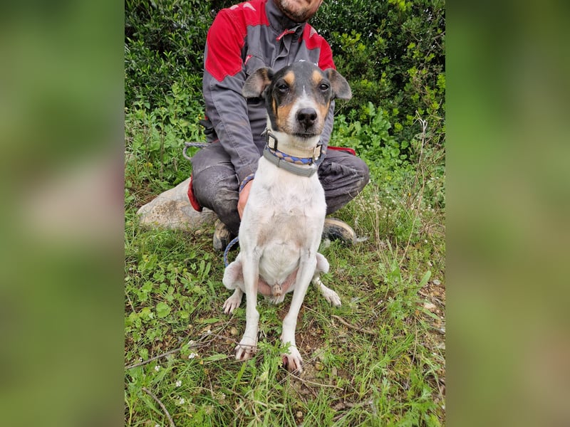 MERAN wünscht sich ganz viel Liebe