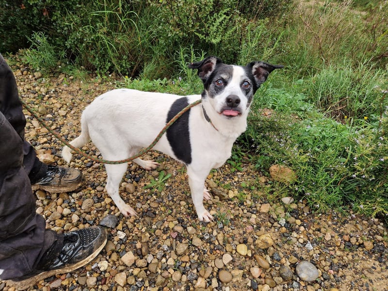 NOTFALL FIORELLA sucht Alterswohnsitz