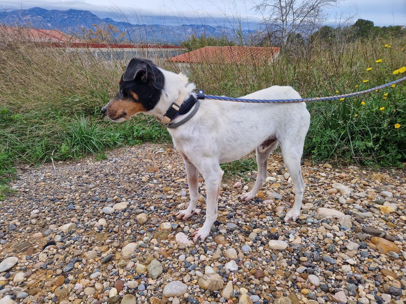 MERAN wünscht sich ganz viel Liebe