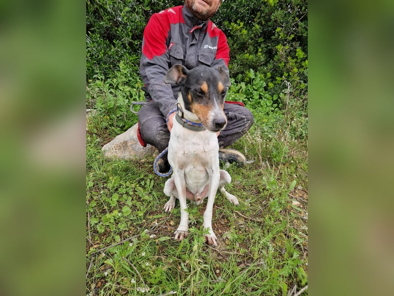 MERAN wünscht sich ganz viel Liebe