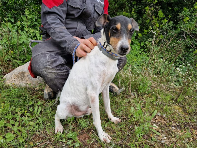 MERAN wünscht sich ganz viel Liebe