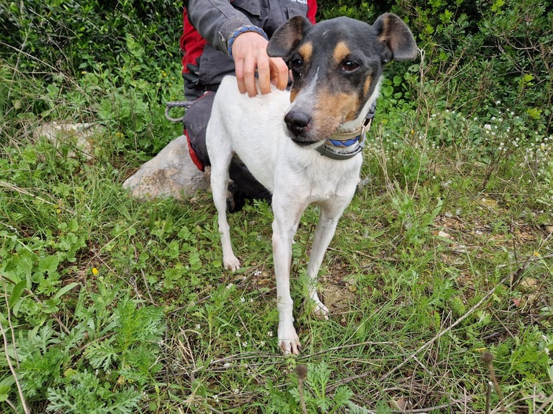 MERAN wünscht sich ganz viel Liebe