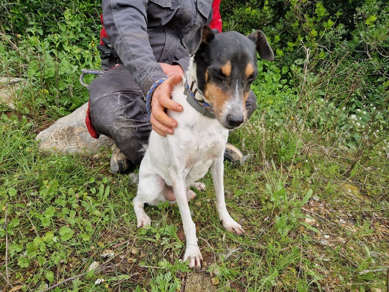 MERAN wünscht sich ganz viel Liebe