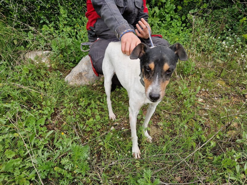 MERAN wünscht sich ganz viel Liebe
