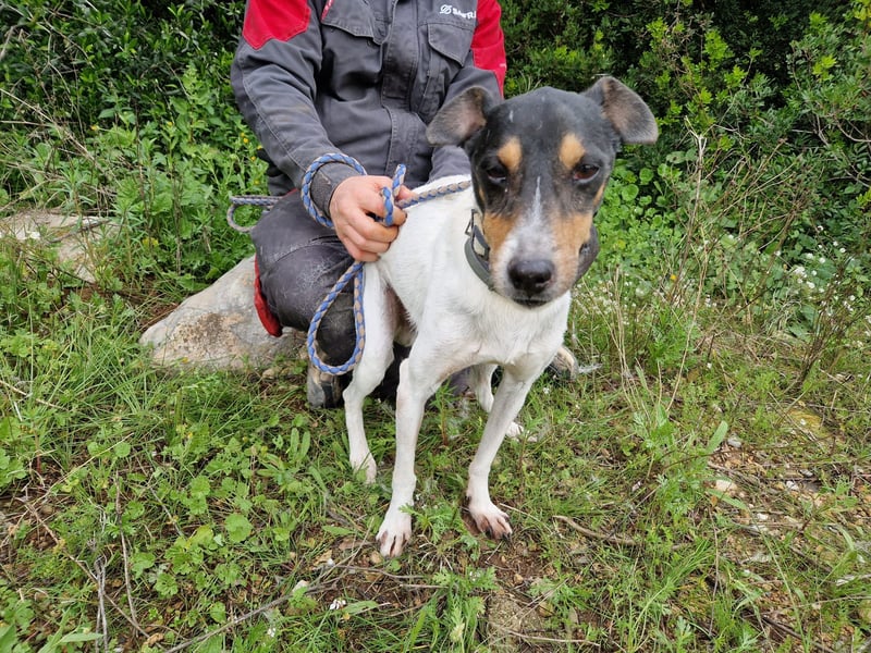 MERAN wünscht sich ganz viel Liebe