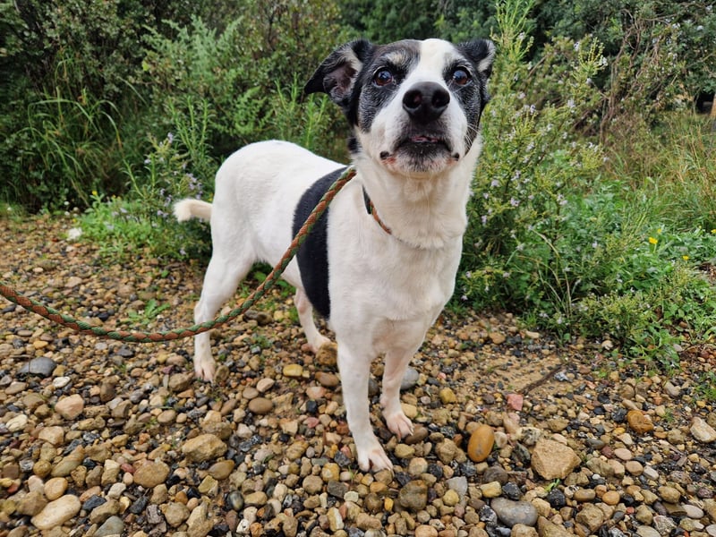 FIORELLA - SOS kleine Seniorin