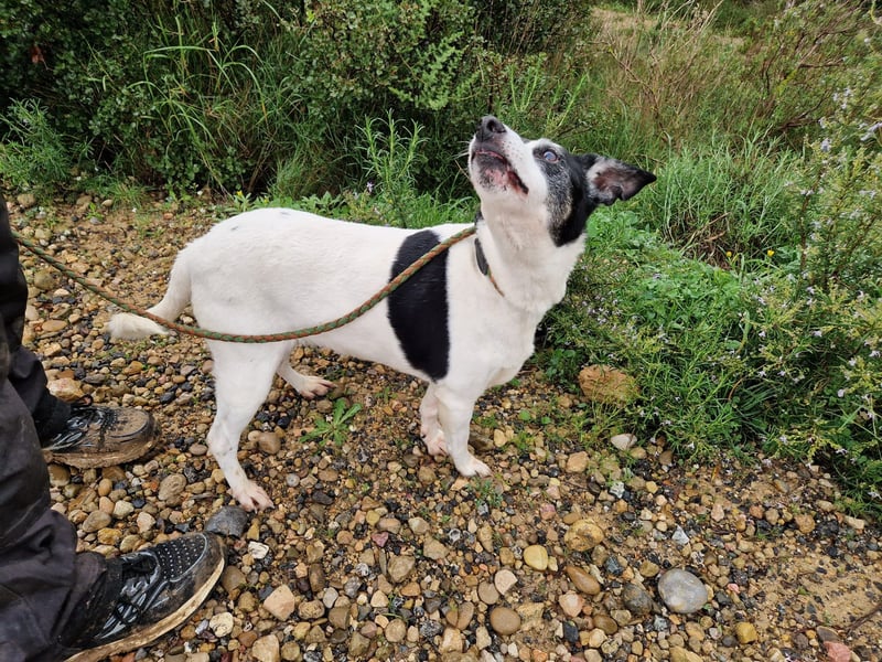 FIORELLA - SOS kleine Seniorin