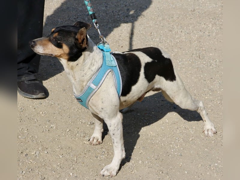 Prince, freundlich, neugierig, offen