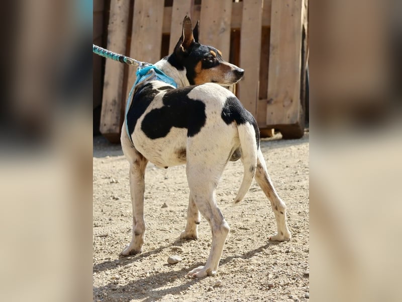 Prince, freundlich, neugierig, offen