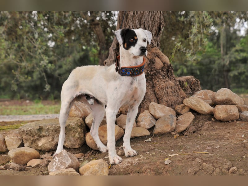 Möchtest du mit Bobs die Welt entdecken?