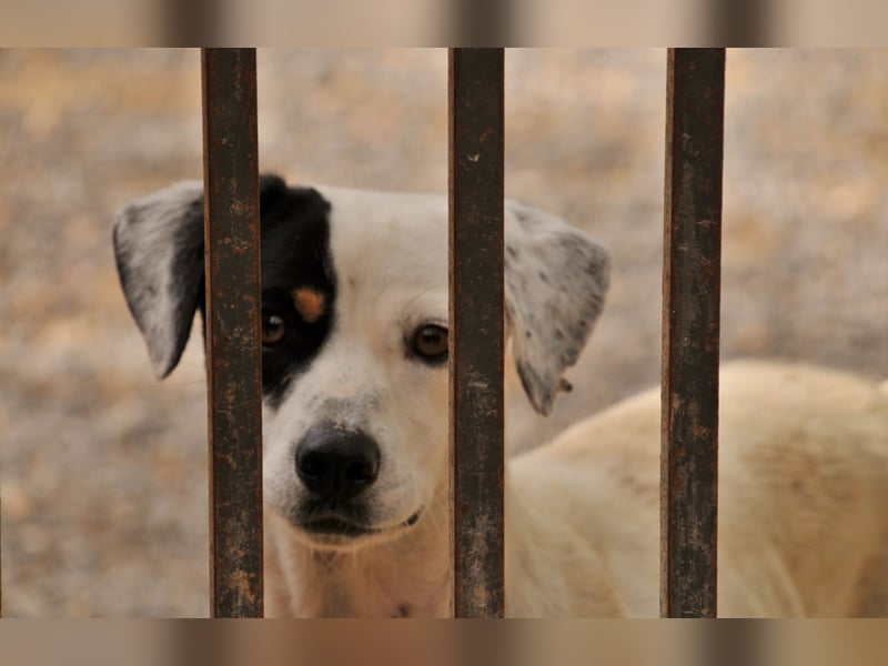 Möchtest du mit Bobs die Welt entdecken?