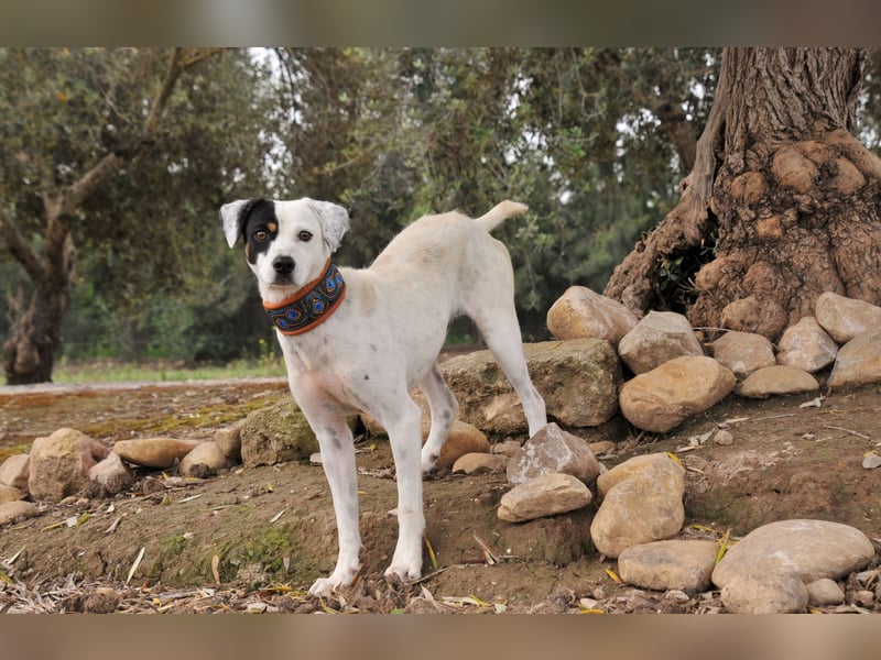 Möchtest du mit Bobs die Welt entdecken?