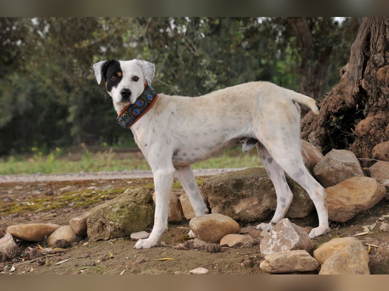 Möchtest du mit Bobs die Welt entdecken?