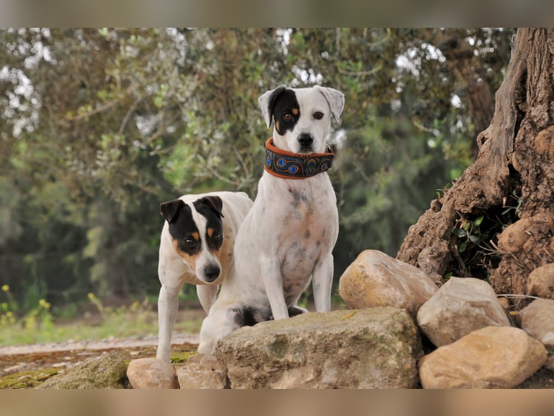 Möchtest du mit Bobs die Welt entdecken?