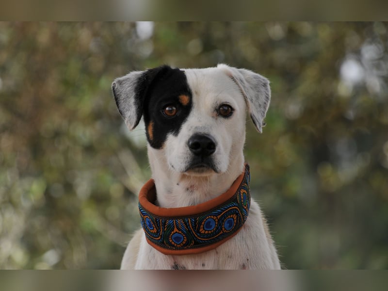 Möchtest du mit Bobs die Welt entdecken?