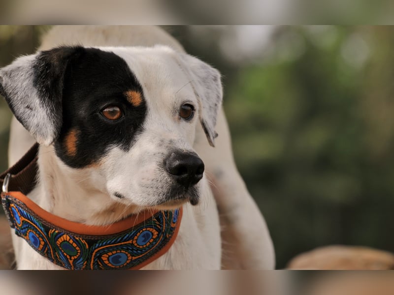 Möchtest du mit Bobs die Welt entdecken?