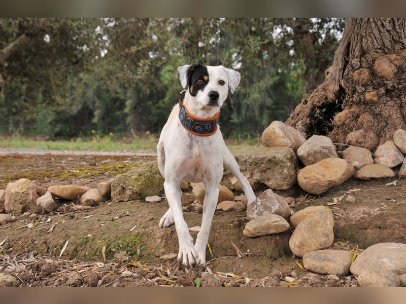 Möchtest du mit Bobs die Welt entdecken?