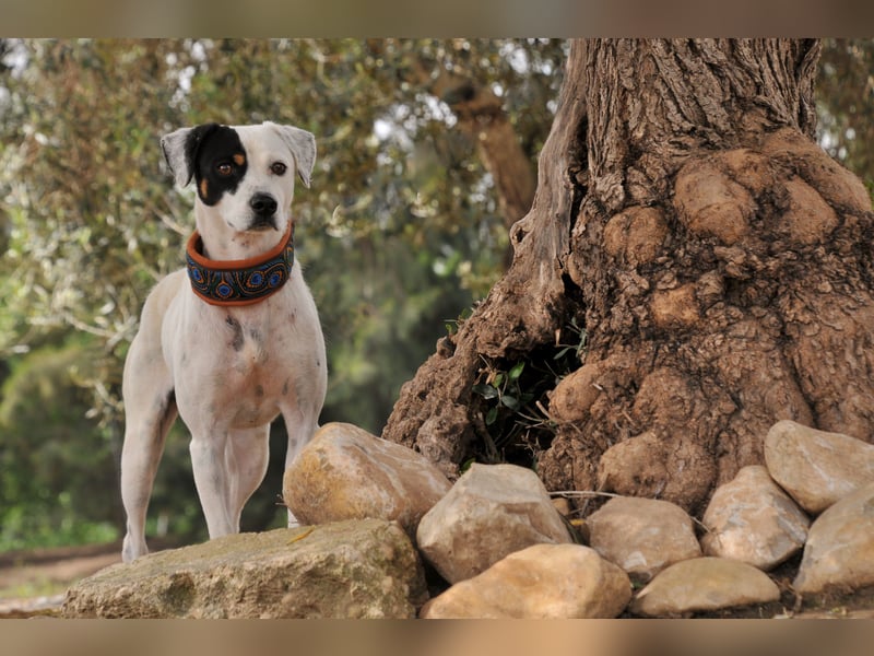 Möchtest du mit Bobs die Welt entdecken?