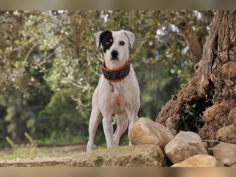 Möchtest du mit Bobs die Welt entdecken?