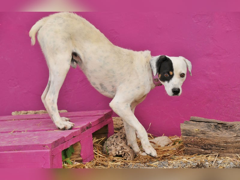 Möchtest du mit Bobs die Welt entdecken?