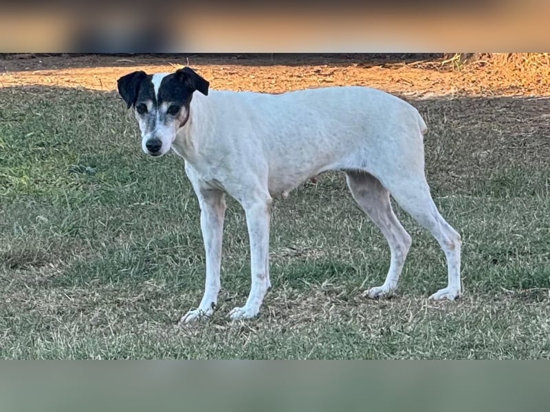 Charlene ist eine ruhige, freundliche Bodeguera