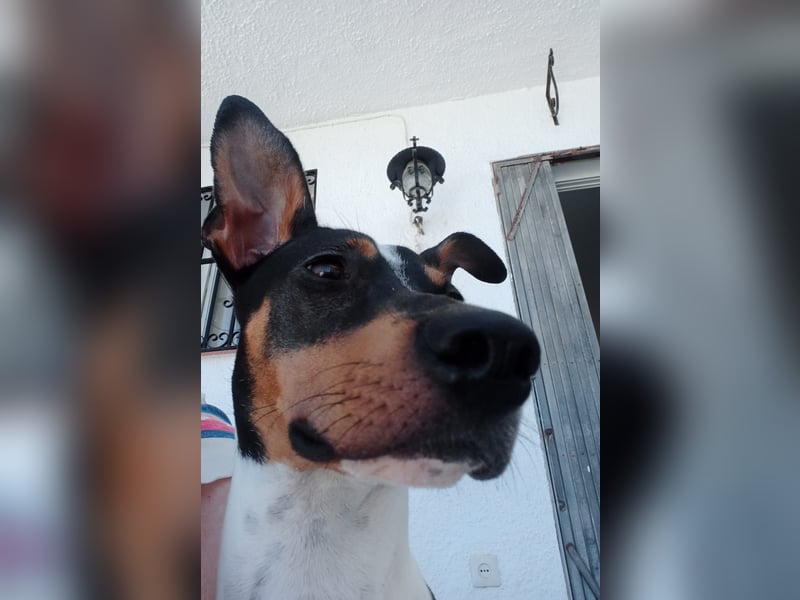 Lenny wünscht sich eine 2. Chance