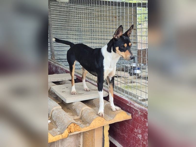 Neo, sucht seine Familie