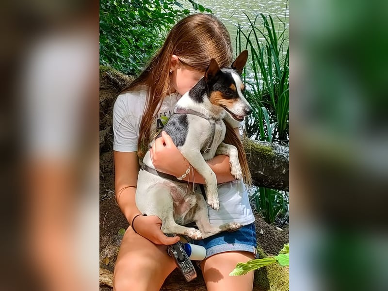 Ratón ✨ in Deutschland auf Pflegestelle