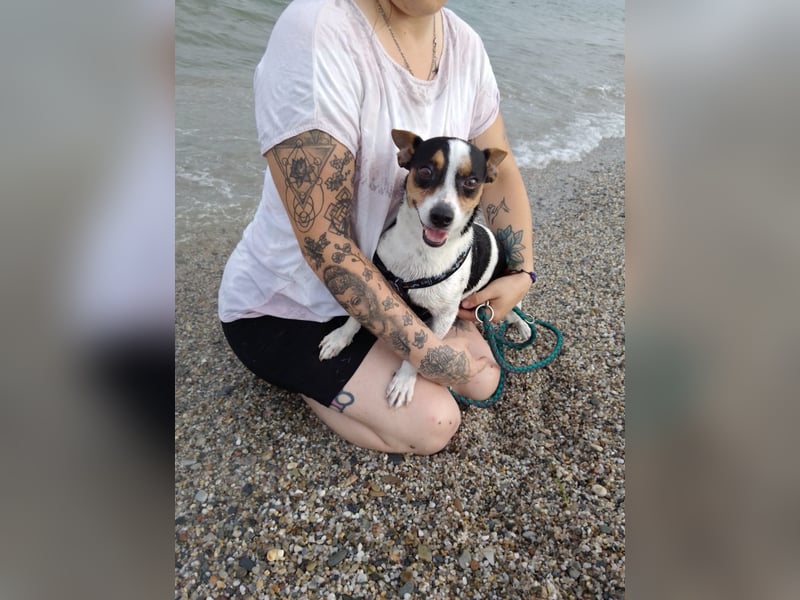 Ratón ✨ in Deutschland auf Pflegestelle