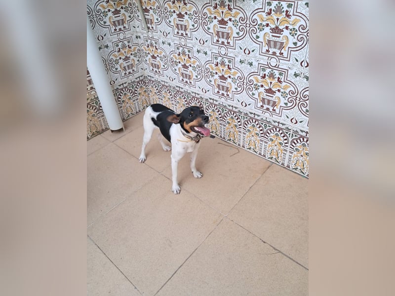 Mateo