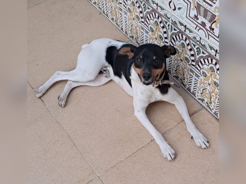 Mateo