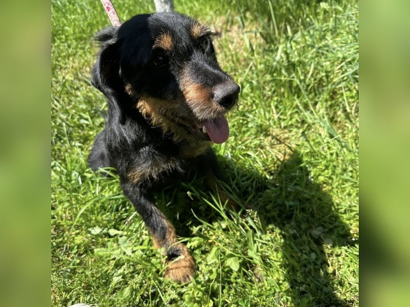 Biba eine kleine verschmuste aktive Prinzessin