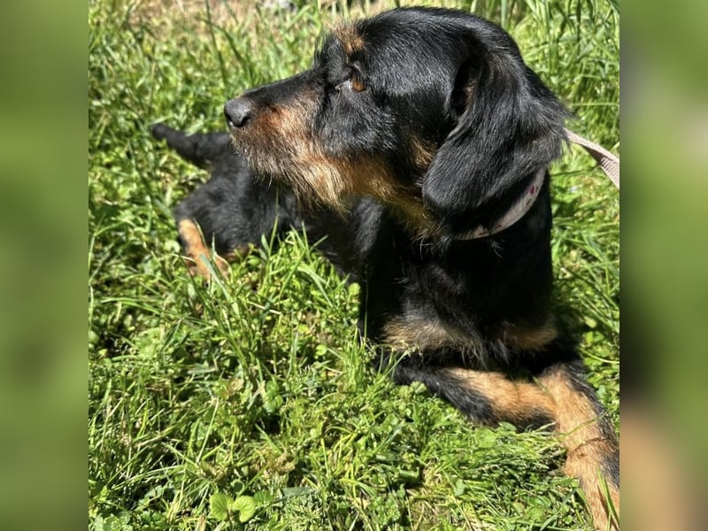 Biba eine kleine verschmuste aktive Prinzessin