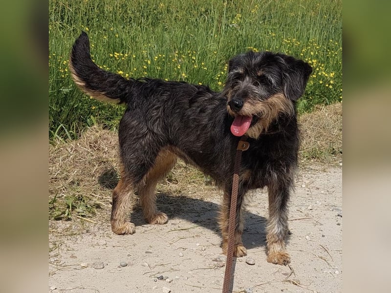 Ginia eine feine Lady