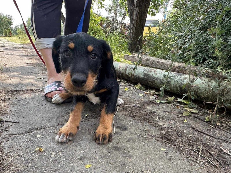 Alexa, geboren 16.03.2025, 21cm sucht ihr Zuhause