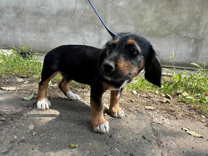 Adel, geboren 16.03.2025, 24cm sucht ihr Glück